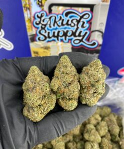 Georgia Skittlez Strain