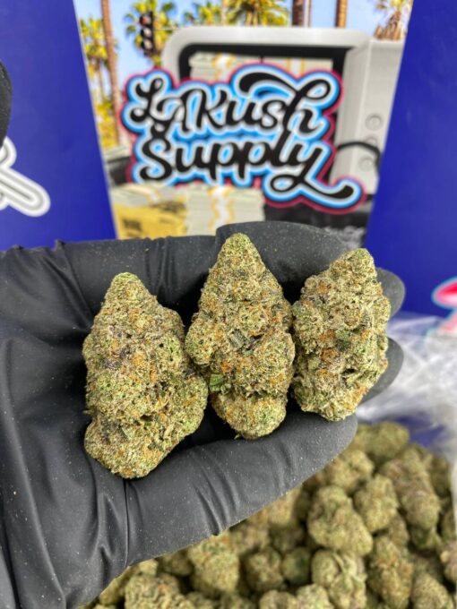 Georgia Skittlez Strain