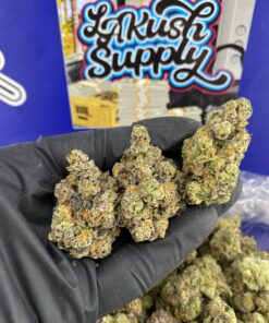 Garlic Breath Strain​