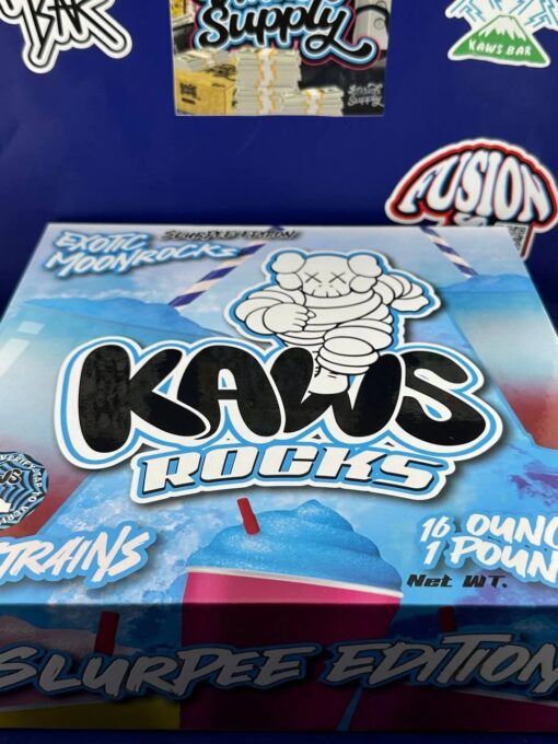 Kaws Rocks Slurpee Edition